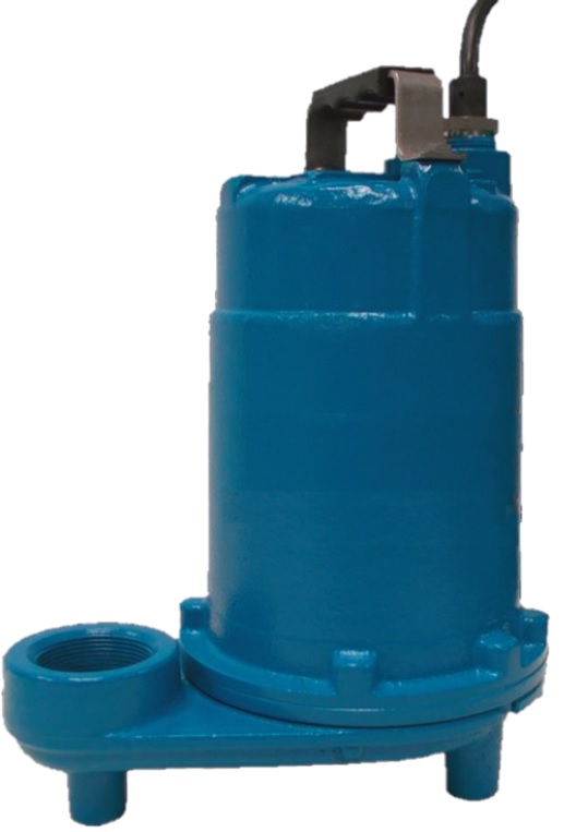 CFE Pumps Image description
